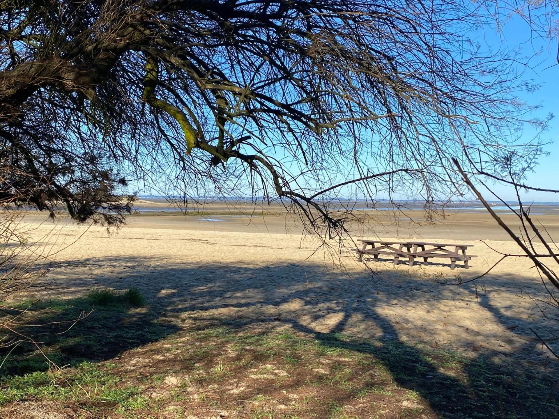 Hotel Particulier - Les Lodges Du Bassin D'Arcachon- Petit-Dejeuner Sur Demande- Prestations Haut De Gamme Gujan-Mestras Ngoại thất bức ảnh