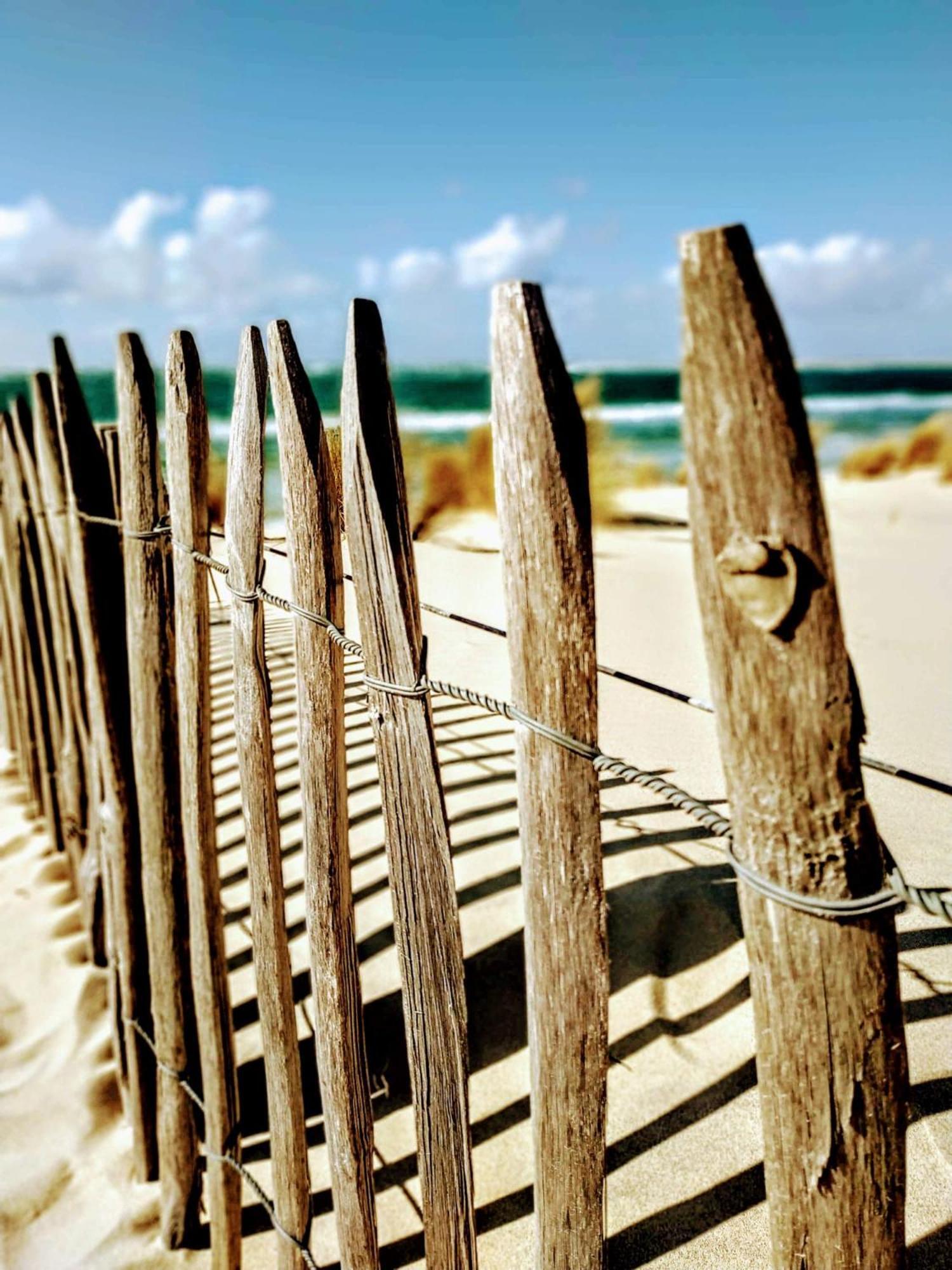 Hotel Particulier - Les Lodges Du Bassin D'Arcachon- Petit-Dejeuner Sur Demande- Prestations Haut De Gamme Gujan-Mestras Ngoại thất bức ảnh